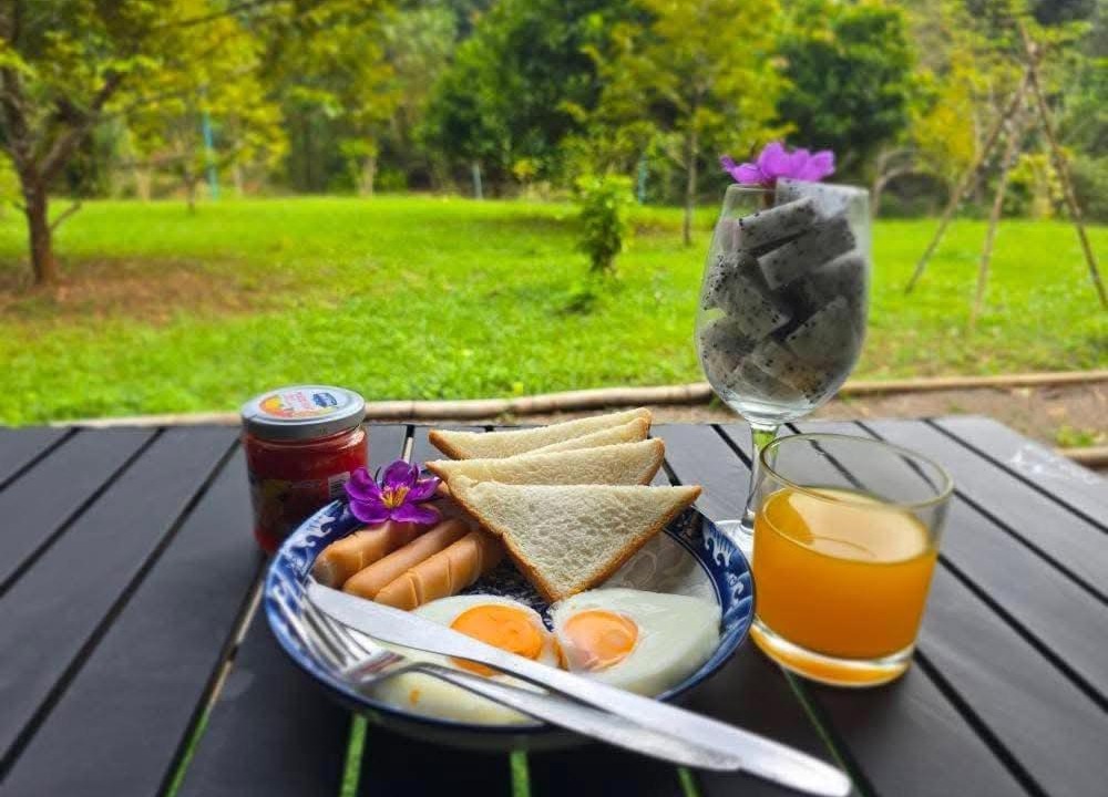 Phanom Other | Khaosok Eco Jungle Camp