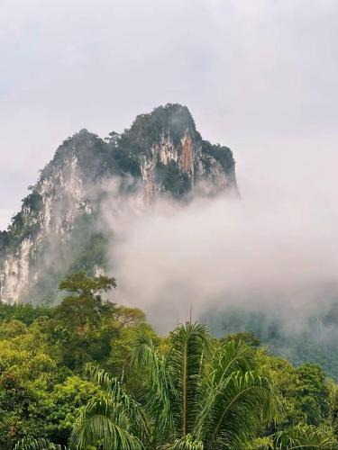 Khlong Sok Other | KhaoSok Malin Glamping