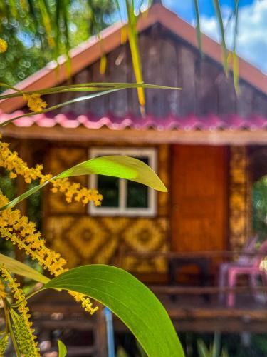 Nuea Khlong House | Pepee mini cafe ปีปีมินิ คาเฟ่ &โฮมสเตย์