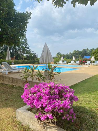 Khuekkhak Villa | The1 Mangosteen Harmony Retreat - Khaolak - Eco Luxury Villa - Room Only -No Breakfast