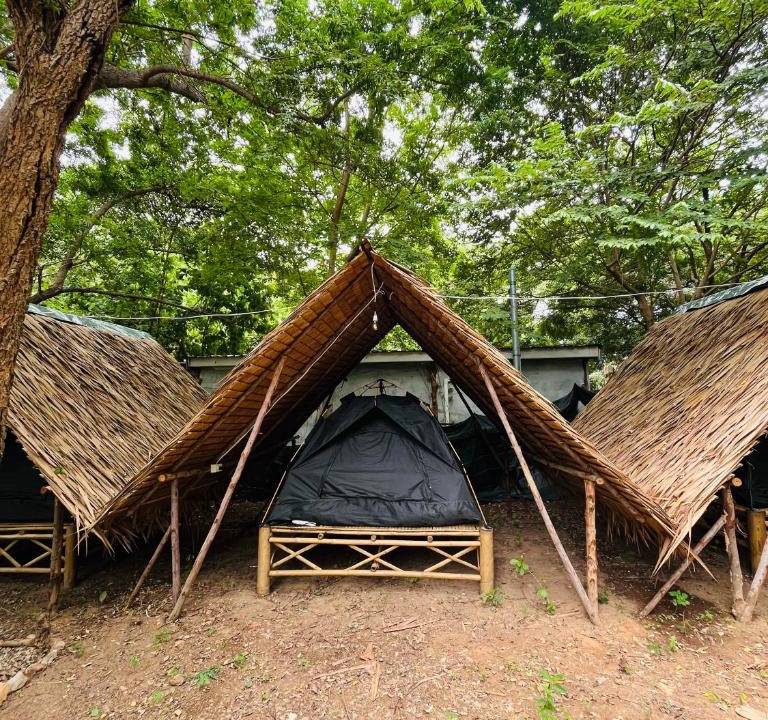 Koh Lan Other | Zulu land Kohlarn