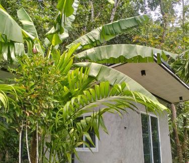 Kong Ra Apartment | บ้านเล็กในป่าใหญ่ พัทลุง