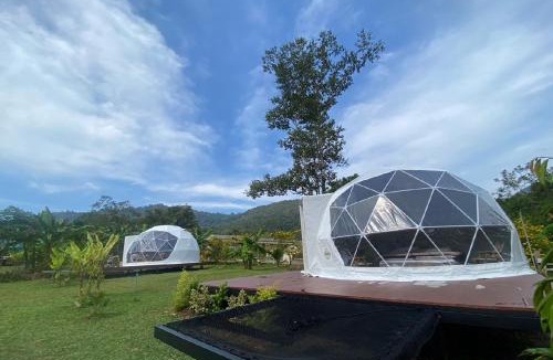 Khlong Sok Other | Cosy Garden Khao Sok