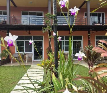 Khlong Sok Hotel | Khao Sok Country Resort