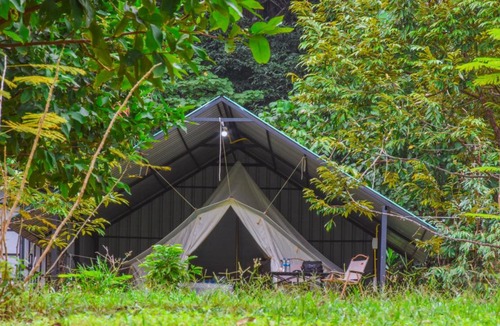 Phanom Other | Khaosok Eco Jungle Camp