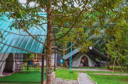 Phanom Other | Khaosok Eco Jungle Camp