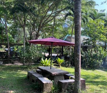 Phanom House | Khaosok gallery & camp
