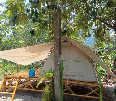 Khlong Sok Resort | Paivana Khaosok Village