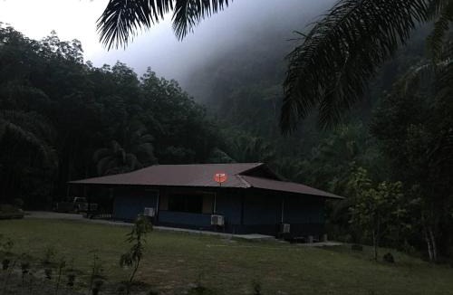 Ao Luek House | Peaceful house surrounding by nature Krabi Province