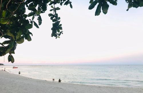 Chaweng City Center Hotel | PTK BEACH