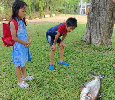 Prachuap Khiri Khan House | Rai Lung Tui Homestay