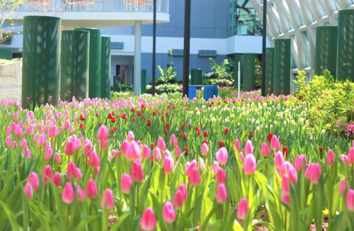 Ban Chang Apartment | SCN city hotel Rayong