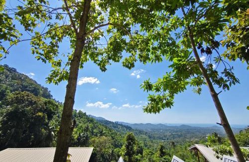 Koh Samui Other | SZ SAMUI Glamping