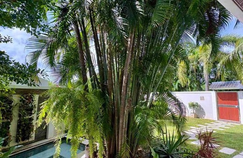 Rawai Villa | Villa Happy home