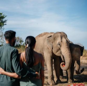 Bophut Hills Hotel | Wild Cottages Elephant Sanctuary Resort
