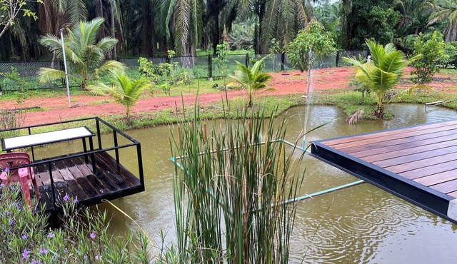 ที่พัก ใกล้เมืองสุราษฎร์ธานี
