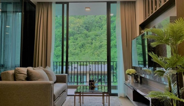 A2 at Forest Khaoyai