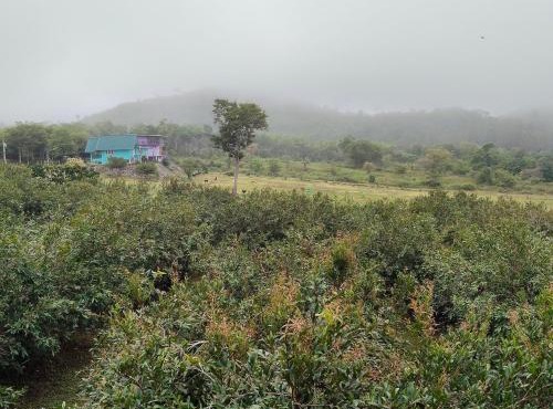 Chomview Hut