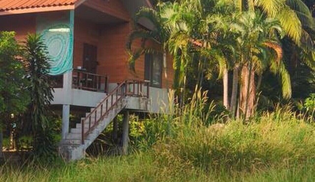 Fikret 300m to Beach | Quiet Forest | Fast WiFi