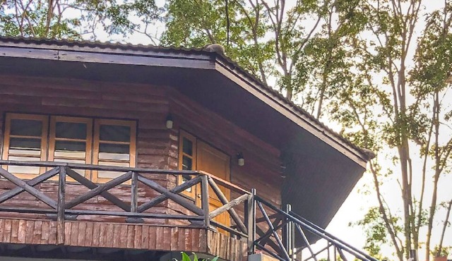 Hidden Treehouse in KhaoYai!