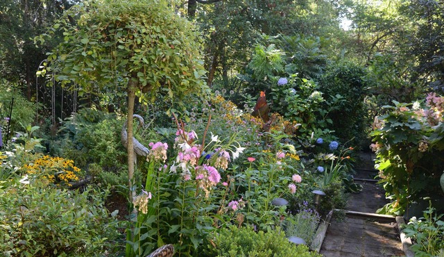 Idyllic Hideaway for Two .or one! in Victoria