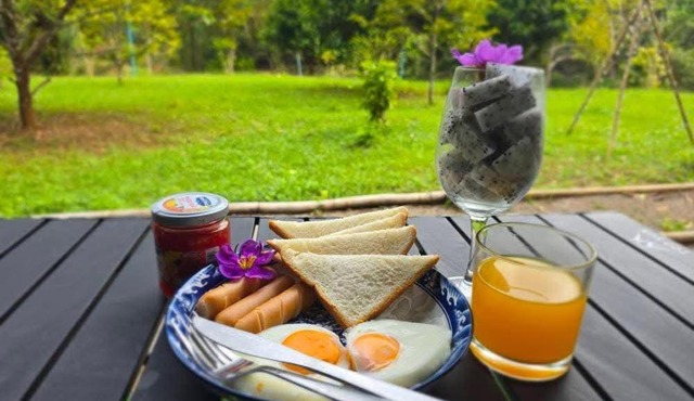 Khaosok Eco Jungle Camp