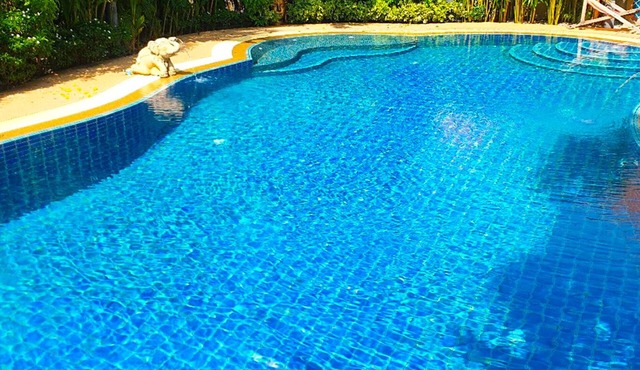 Luxury 4-Bed Villa near Beach with Free Electricity & Daily Clean