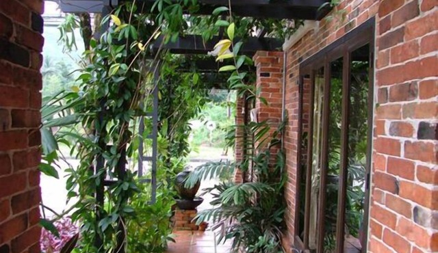 Pathu Resort Ranong