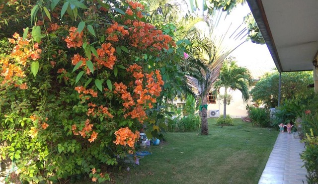 Stella Resort