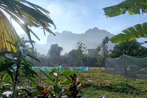 Tara Farm Stay Khao Sok