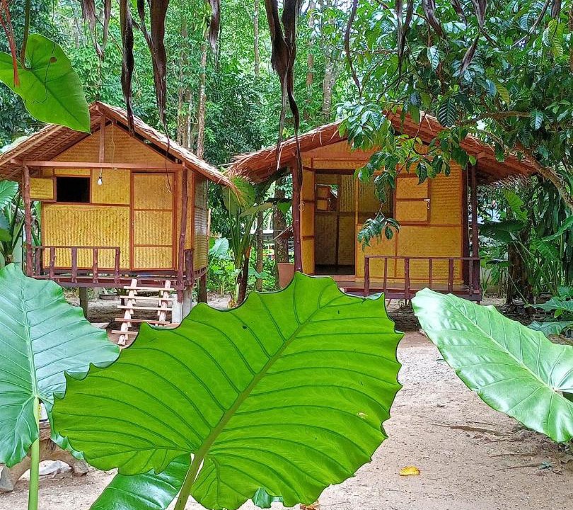 Khlong Sok Other | Khai jungle wassanacamp