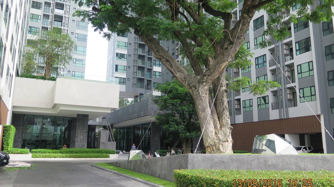 Photo of Outdoor in Central Pattaya