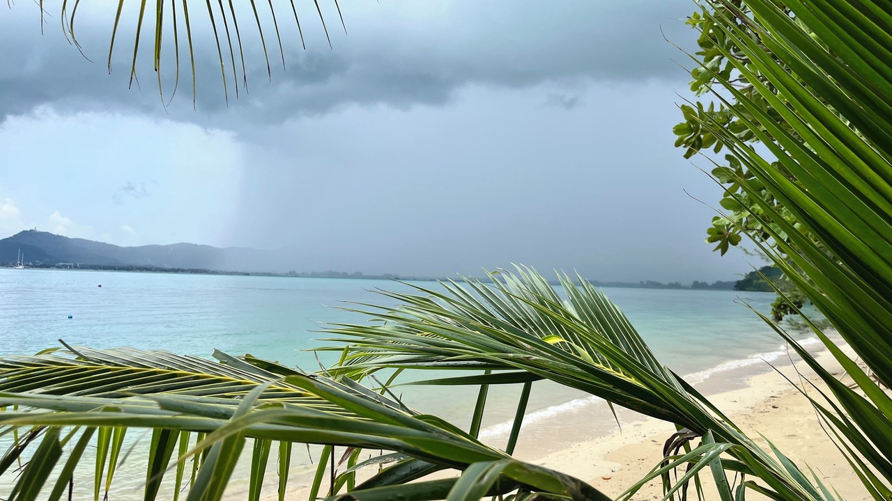 Photo of Outdoor in Wichit