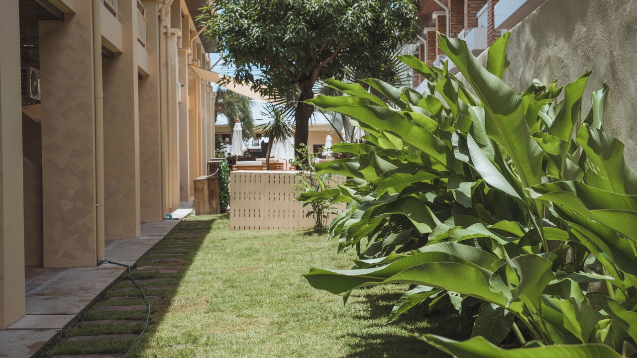 Photo of Outdoor in Patong