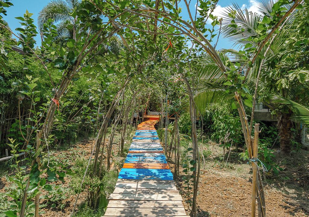 Photo of Outdoor in Chalong