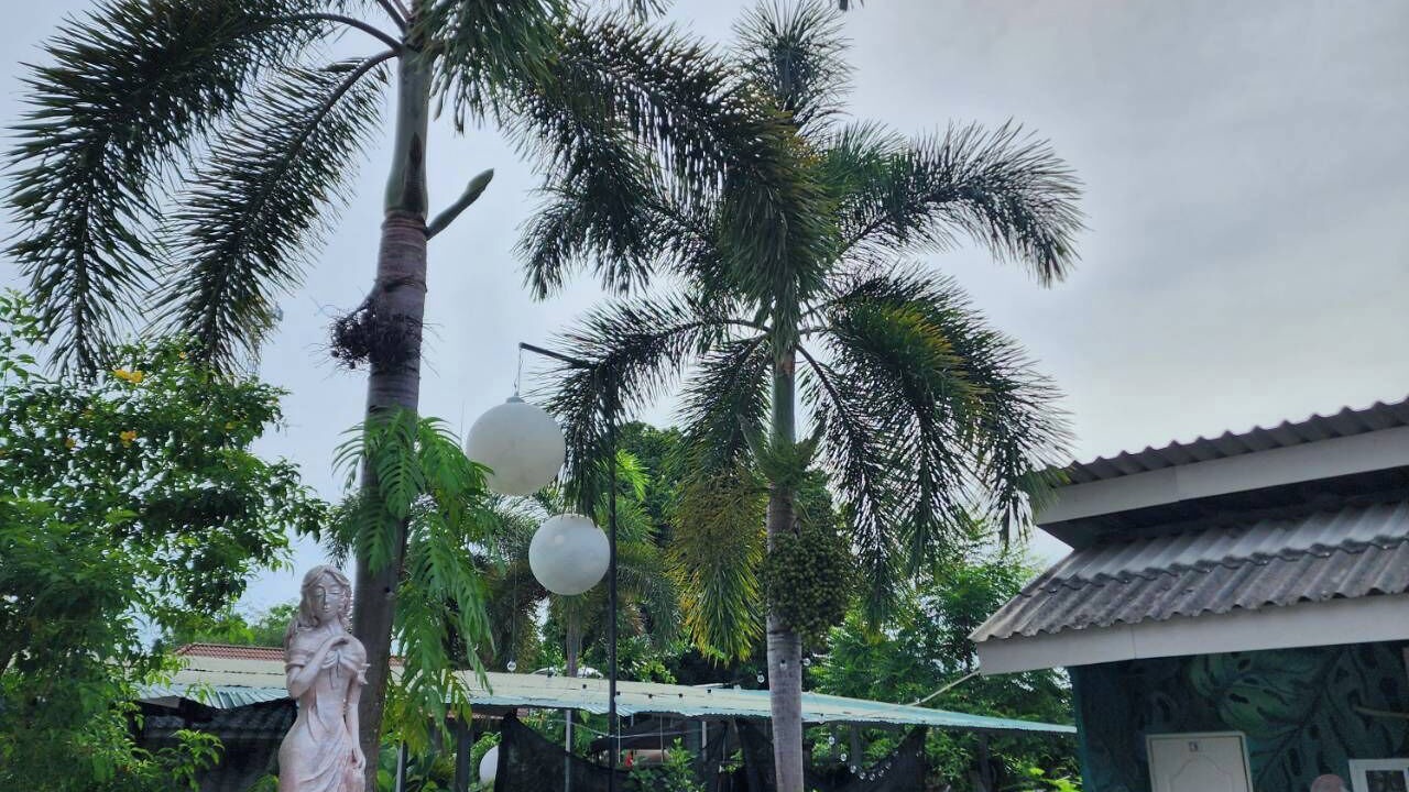 Photo of Others in Satun