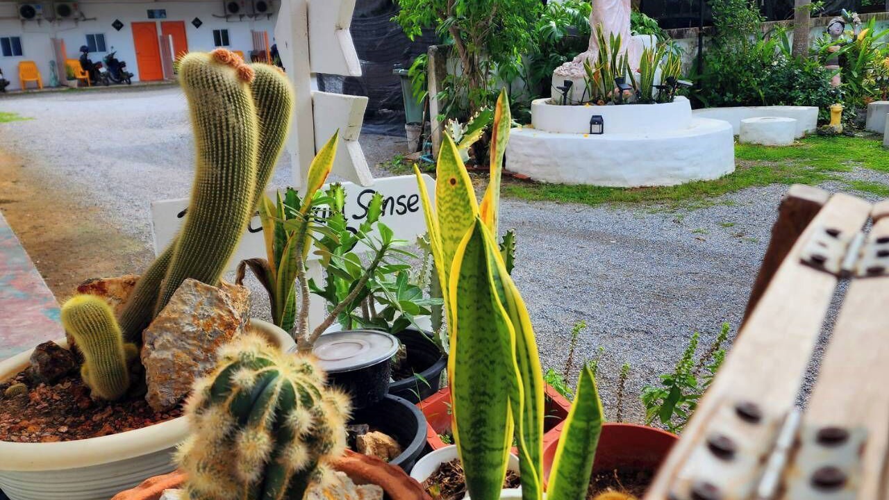 Photo of Outdoor in Satun
