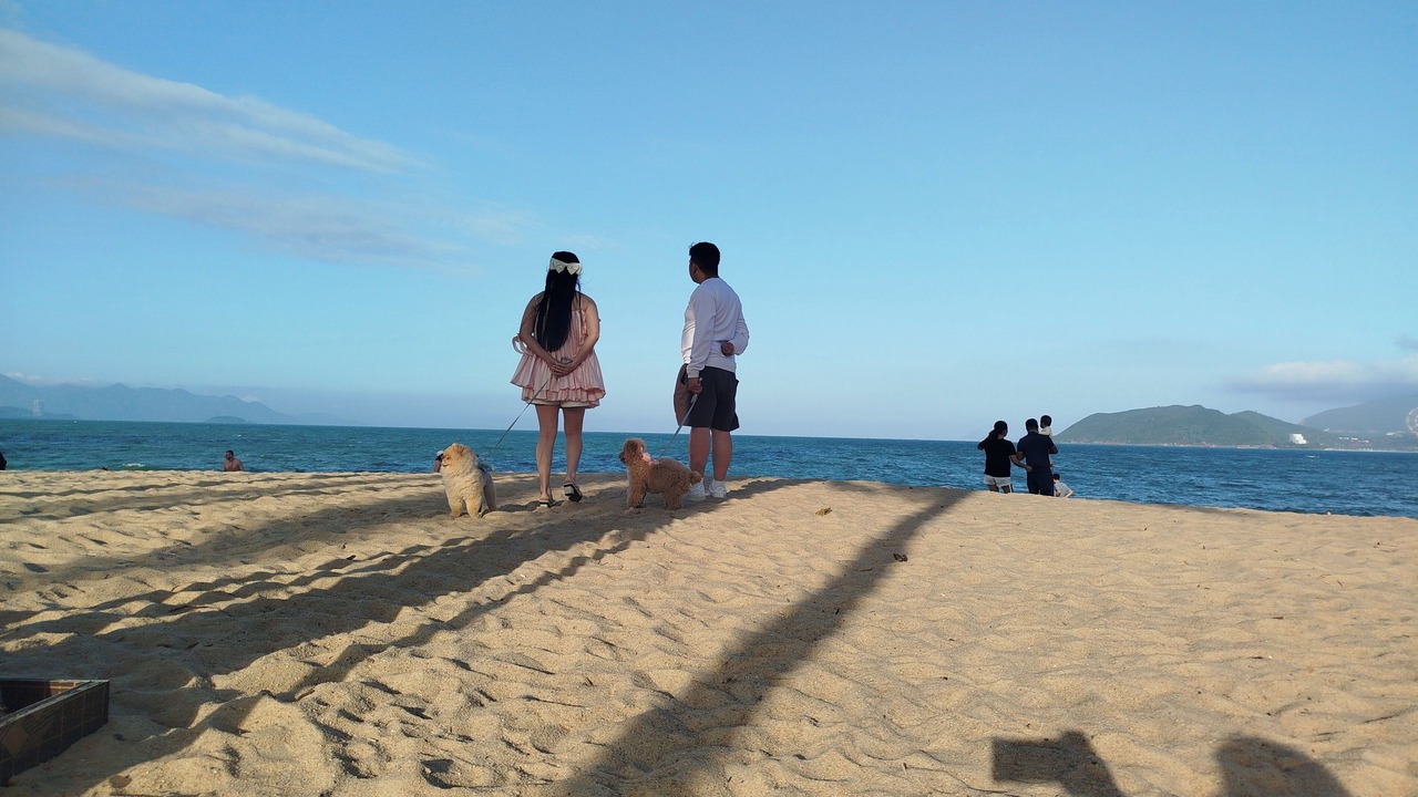 Photo of Others in Nanai Road