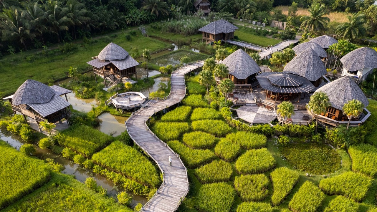 Photo of Others in Sai Thai
