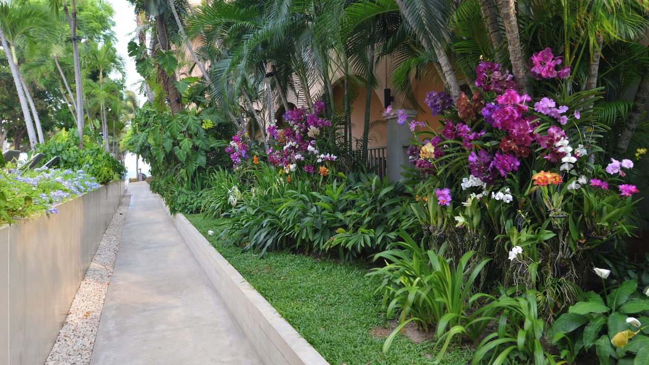 Photo of Others in Khao Takiab