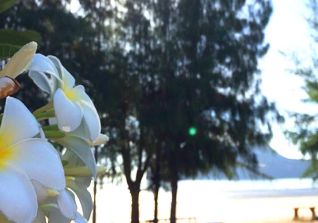 Photo of Outdoor in Sam Roi Yot