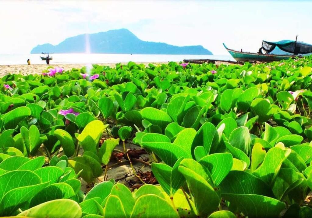 Photo of Outdoor in Sam Roi Yot