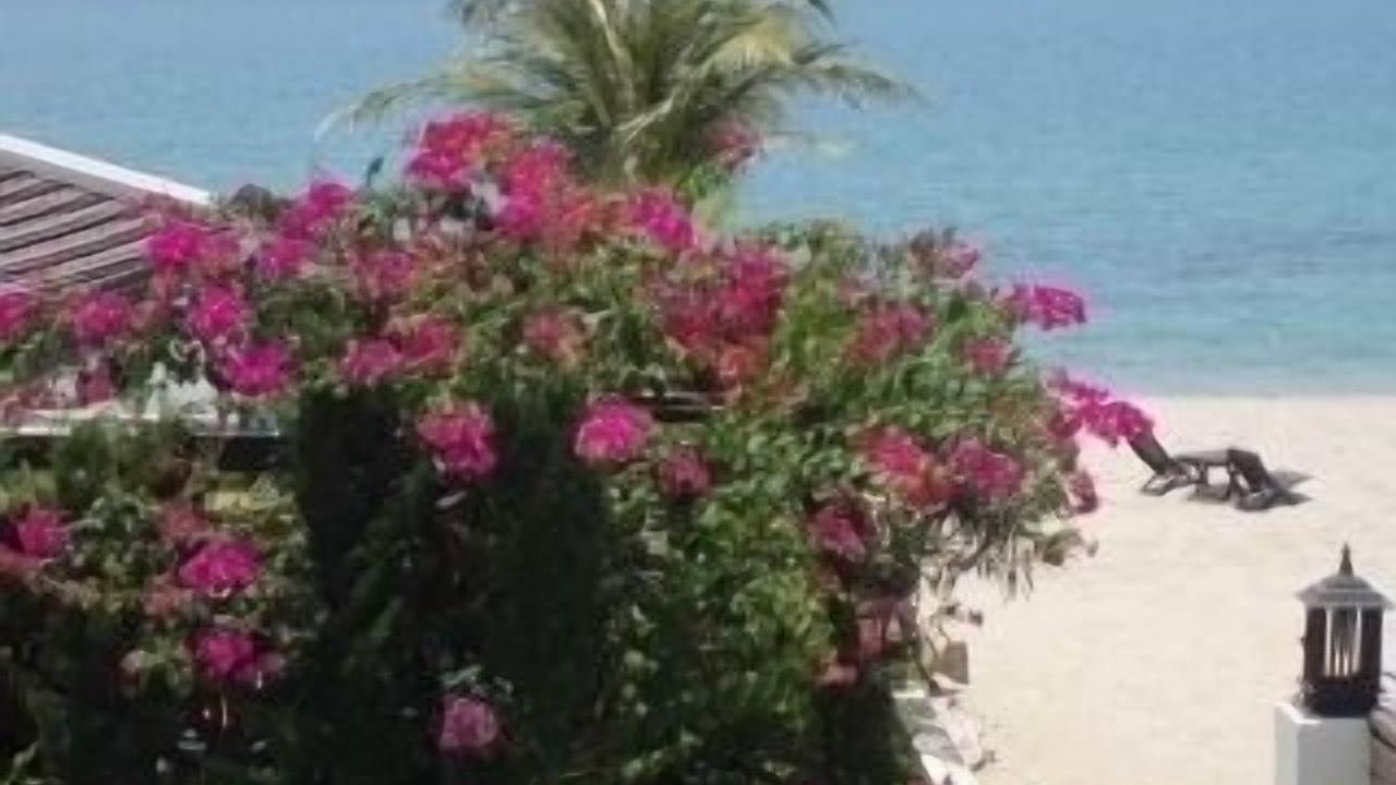 Photo of Others in Ko Lanta