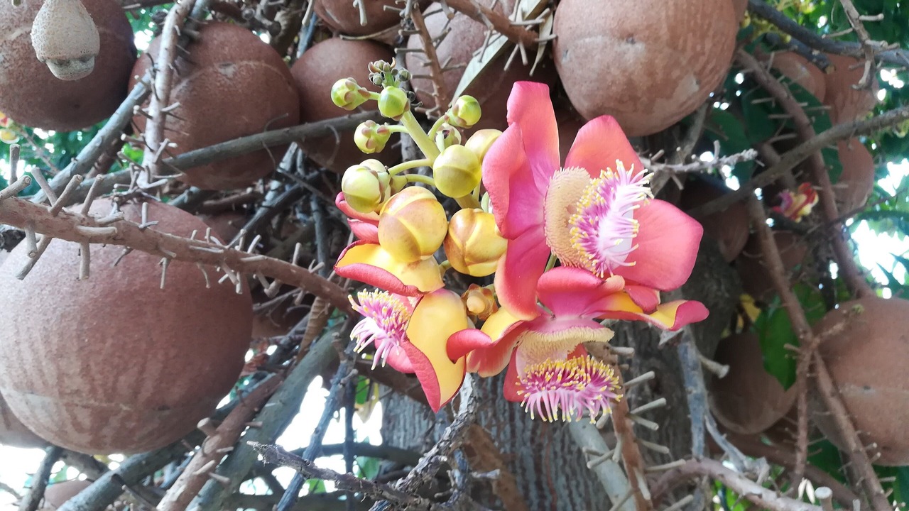 Photo of Outdoor in Hua Hin