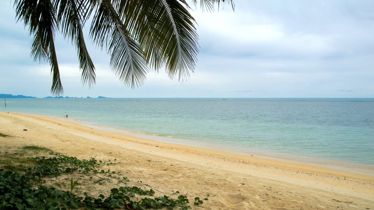 Photo of Others in Bang Po
