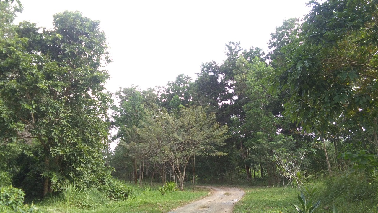 Photo of Outdoor in Pa Phayom