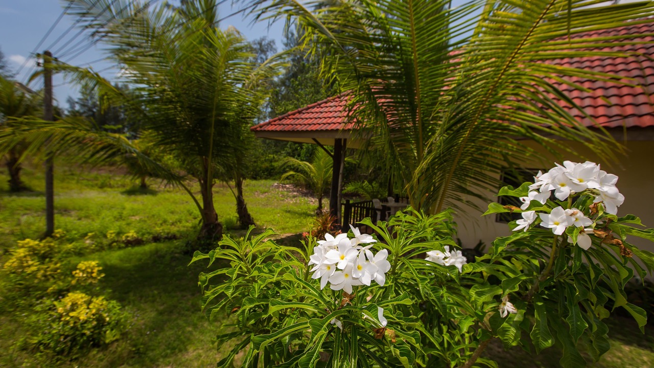 Photo of Outdoor in Ko Kho Khao