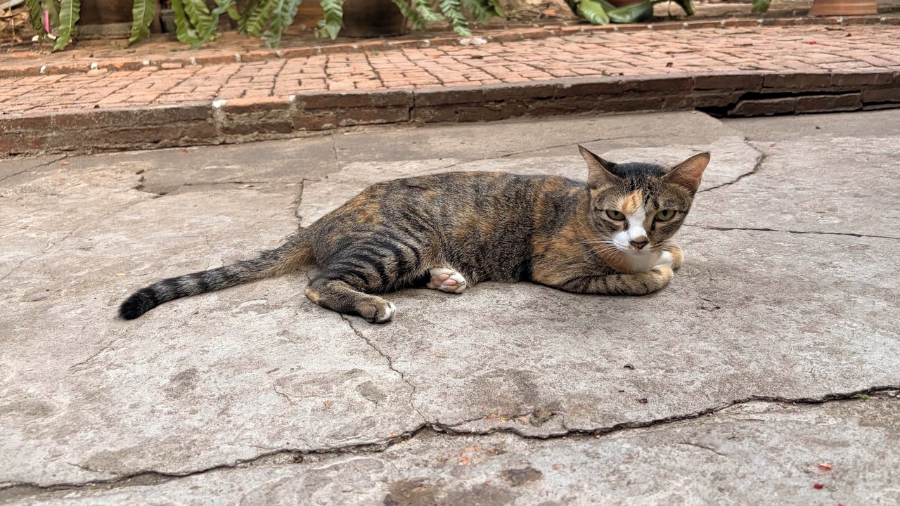 Photo of Outdoor in Wat Sam Phraya