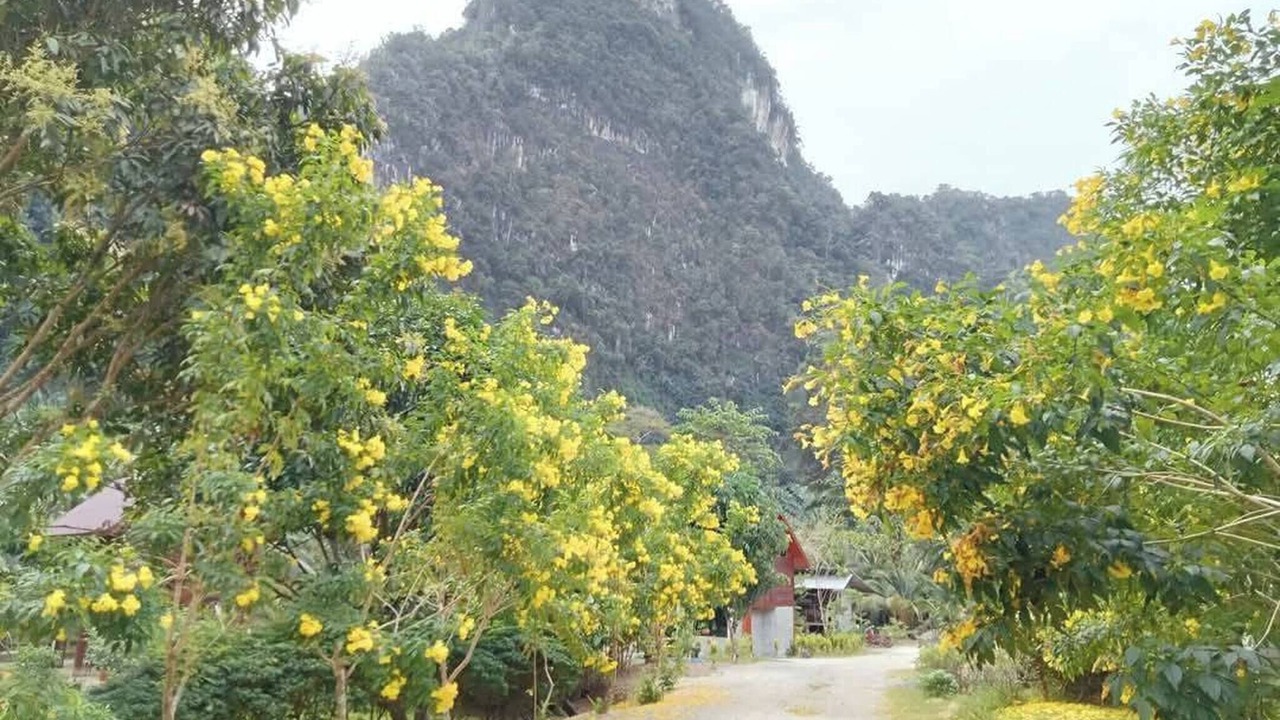 Photo of Others in Ao Luek