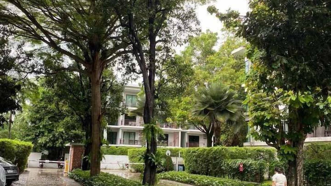 Photo of Outdoor in Ban Saiyuan